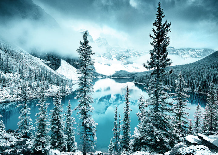 Plakat - Alps