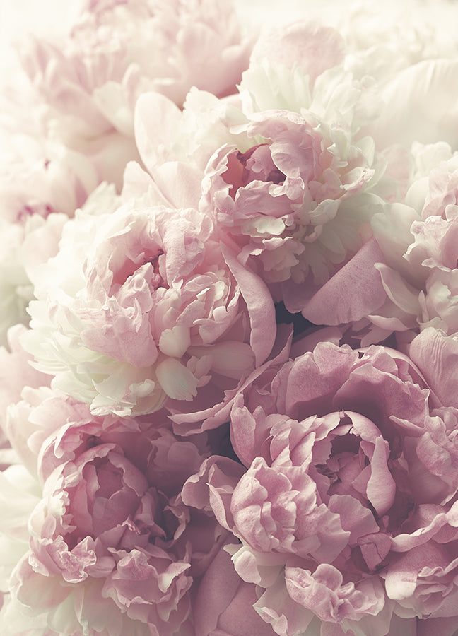 Plakat - Flora