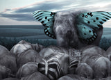 Plakat - Fly on Wings of Dreams