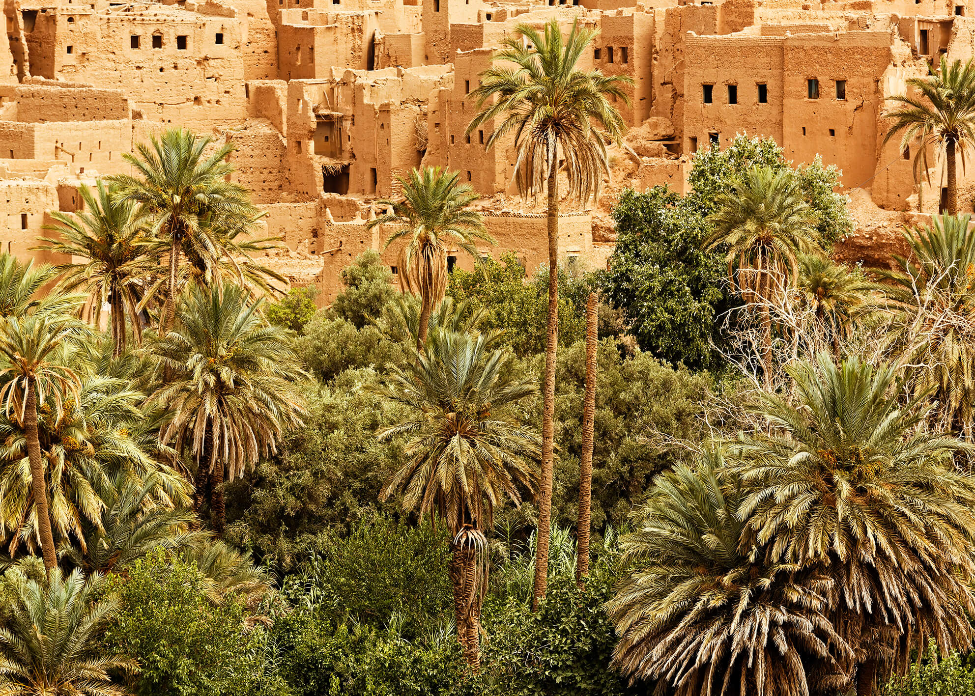 Canvastavla - Morocco dades valley (100x150)