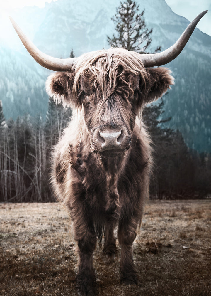 Plakat - Horns