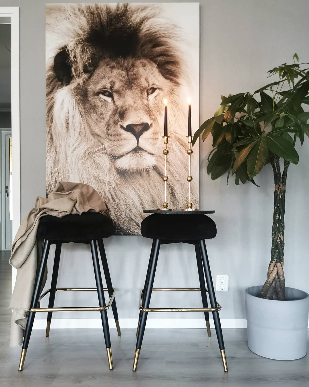 Canvastavla - Lion King (50x70)