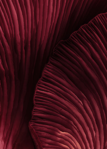 Canvastavla - Viva Magenta (50x70)