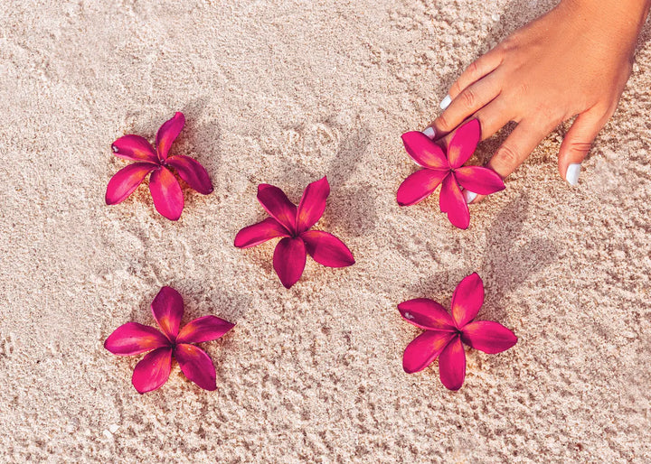 Lærredsprint - Red Flowers on Sand