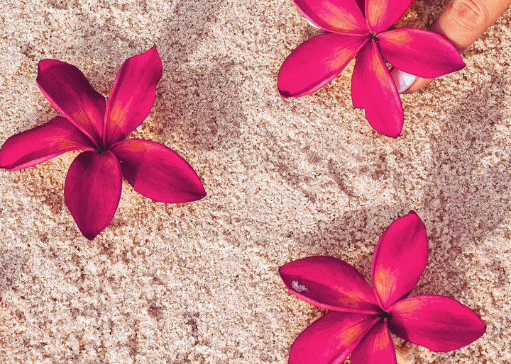 Lærredsprint - Red Flowers on Sand