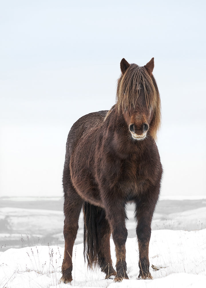 Plakat - Breathtaking Beaty