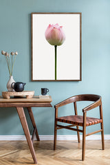 Plakat - Lotus