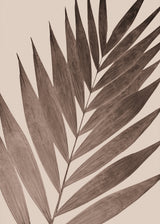 Plakat - Stipule